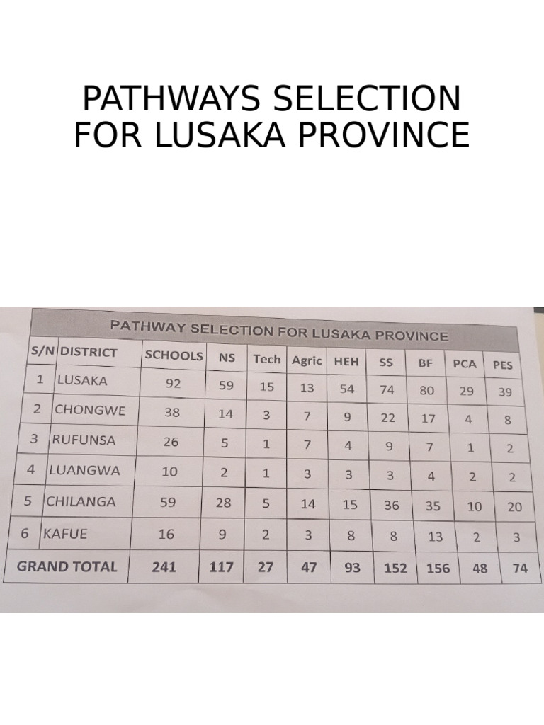 Pathways Selection For Lusaka Province | PDF
