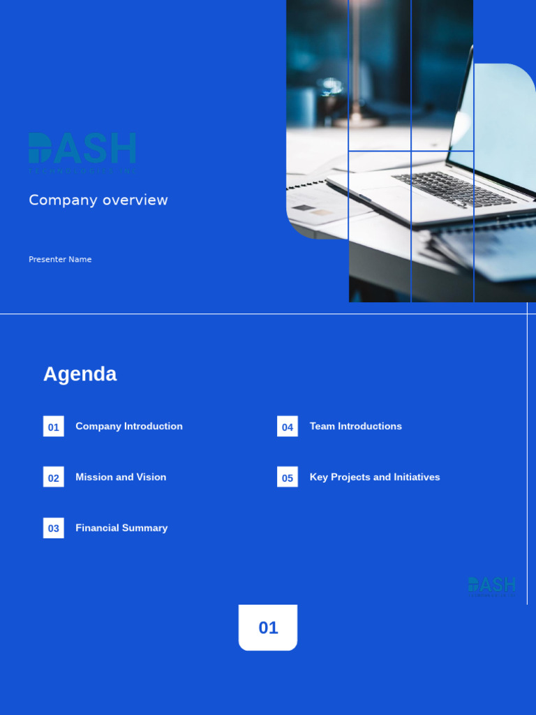 Dash Technologies Company Overview | PDF | Economies | Business