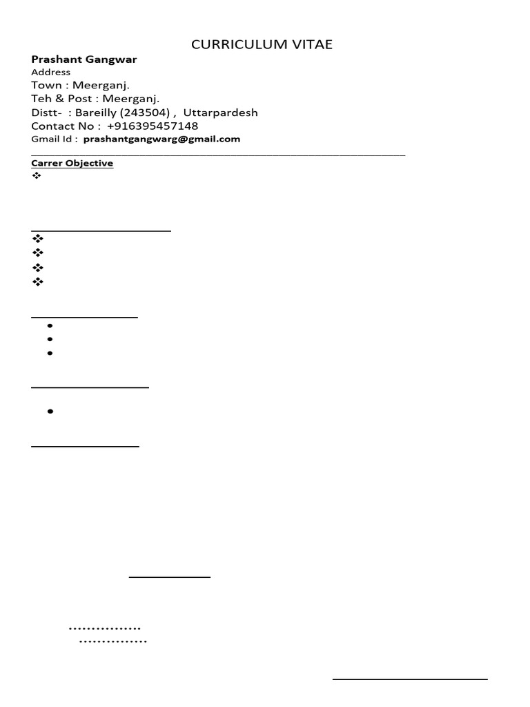 Prashant Gangwar's CV Summary | PDF