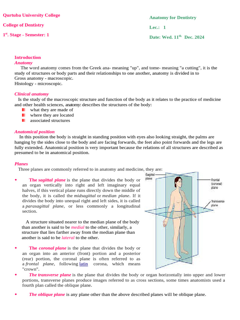 Overview of Human Anatomy Basics | PDF | Anatomical Terms Of Motion ...