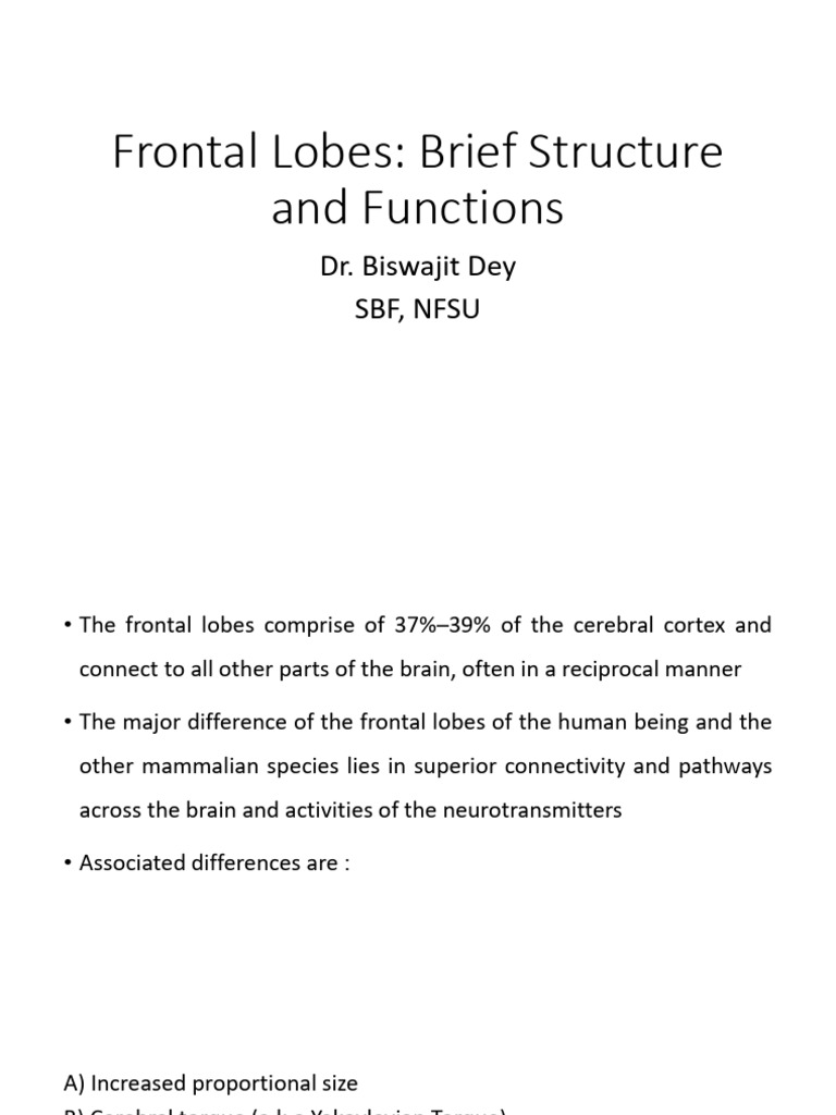 Frontal Lobes Brief Structure and Functions | PDF | Frontal Lobe ...