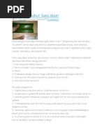 Download Cara Mengukur Luas Daun by iansico28 SN86888166 doc pdf