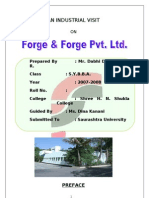 Forge &amp; Forg Project Report-Prince Dudhatra
