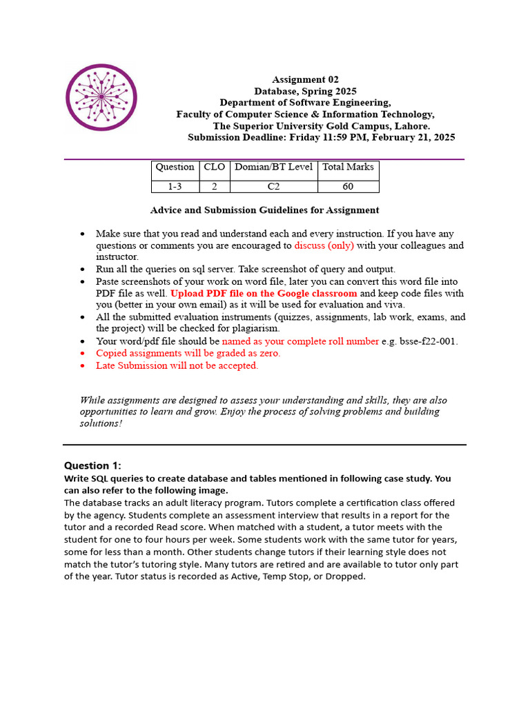 Database Assignment Guidelines 2025 | PDF | Databases | Computing