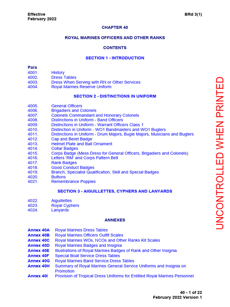 sachin and babi light blue dress Marine Corps dress uniform variations explained main image 1