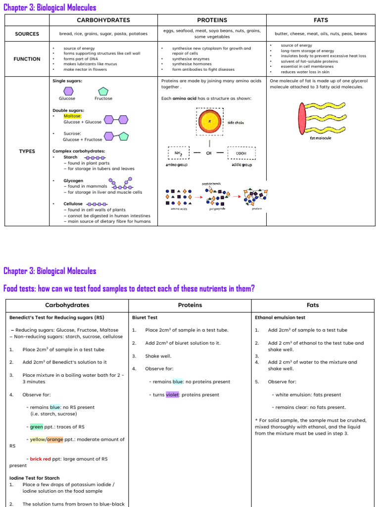 1-Page Summary - Chapter 3 Biological Molecules | PDF | Carbohydrates ...
