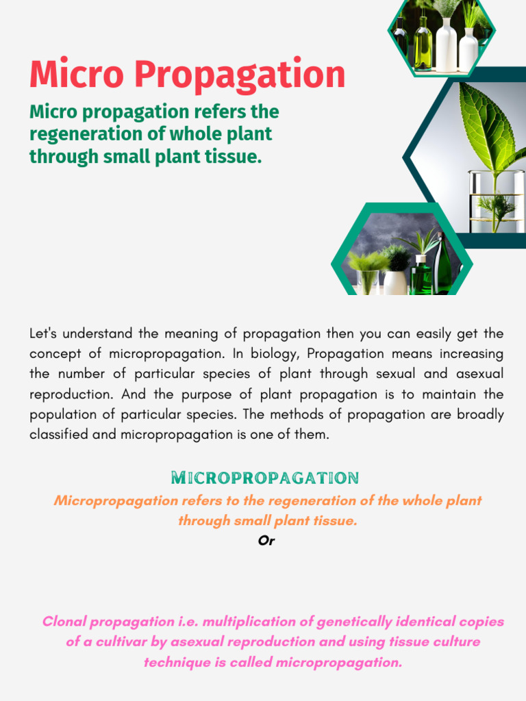 Micro Propaagrtion PDF | PDF | Reproduction | Biology