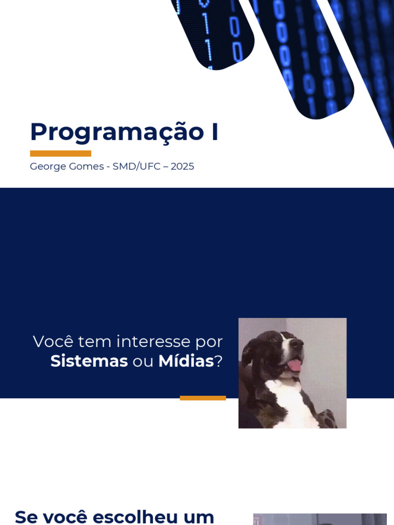 Aula 01- Programação | PDF | Programação de computadores | Informática