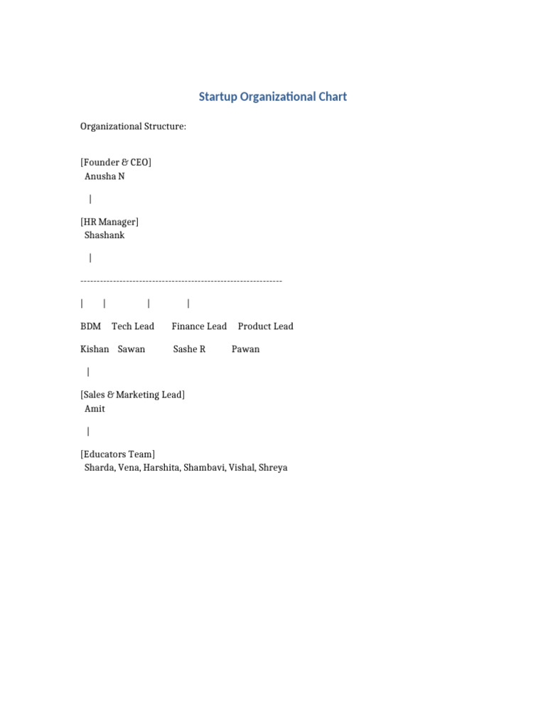 Startup Organizational Structure Chart | PDF