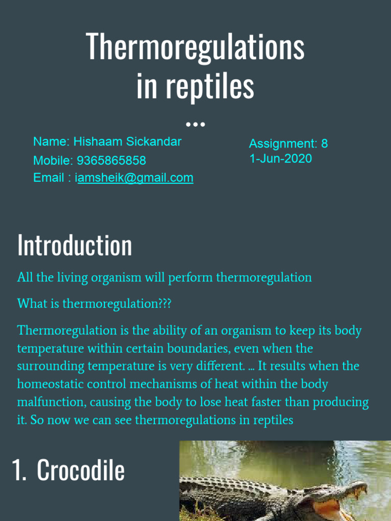 Photo inspiration: Visual Reference: Thermoregulation In Reptiles Explained