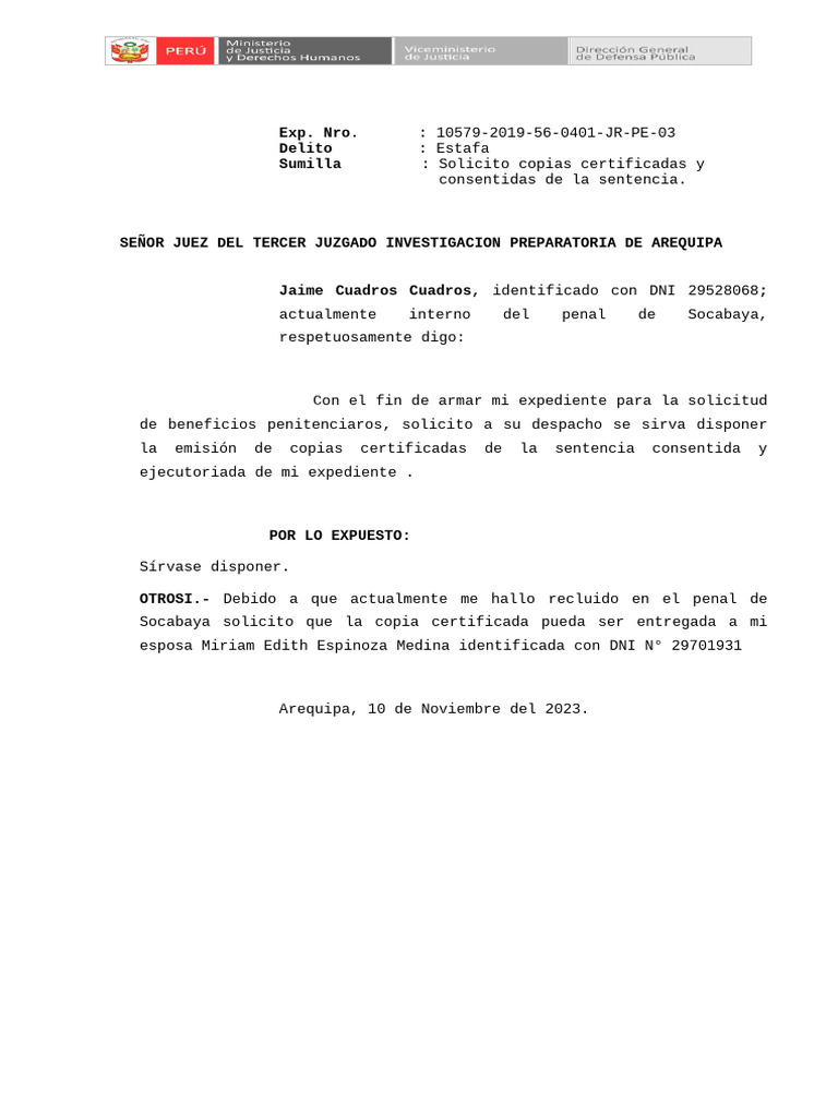 Solicita Copias | PDF