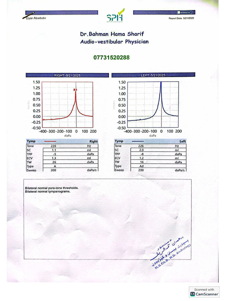 Audiometry Test | PDF
