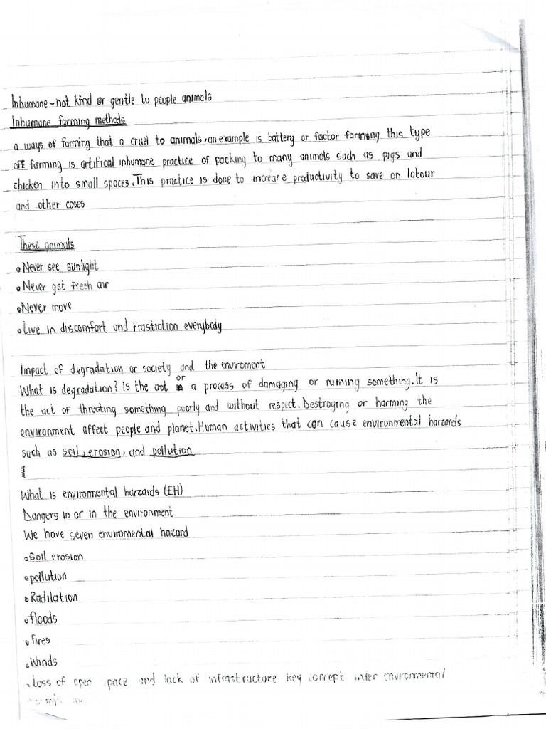 Term 2 Notes | PDF