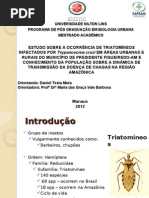 Projeto Doença de Chagas Pres. Figueiredo