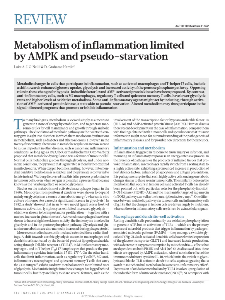 Metabolic Regulation in Inflammation | PDF | Nicotinamide Adenine ...