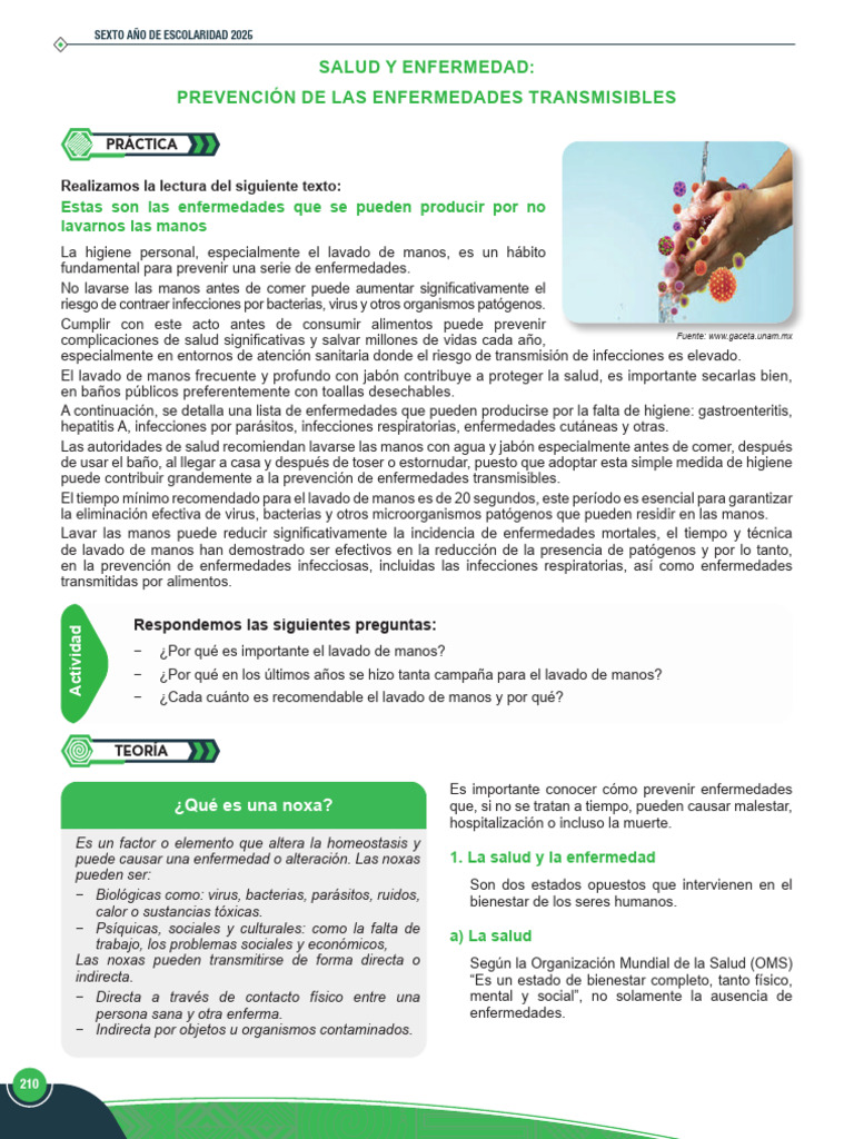 Importancia del Lavado de Manos en Salud | PDF | Virus | Lavado de manos