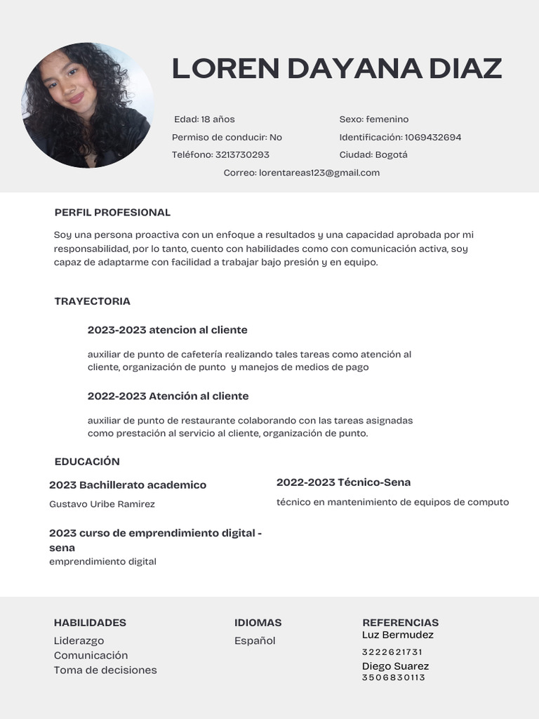 Perfil Profesional de Dayana Díaz | PDF