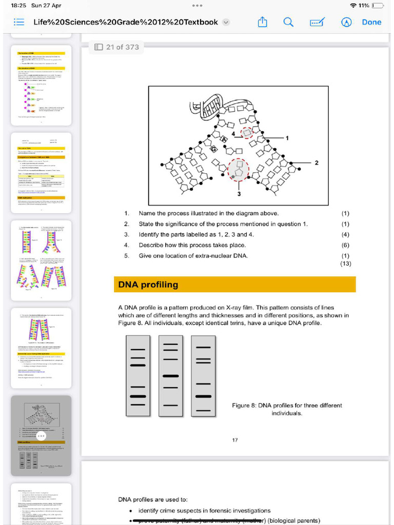 Img 1330 | PDF
