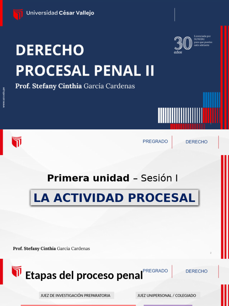 Sesión 1 - Derecho Procesal Penal II - Tagged | PDF | Fiscal | Ley procesal