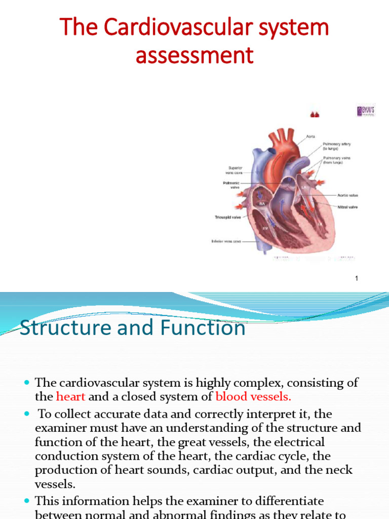 Cardiovascular System Assessment Guide | PDF | Heart Valve | Heart