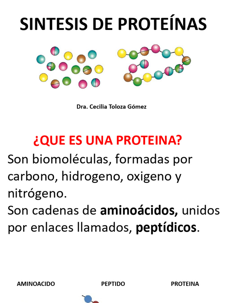 Rinvio Aerial PRO Climbing Technology - Leggero E Maneggevole Per Arrampicata - Foto 7