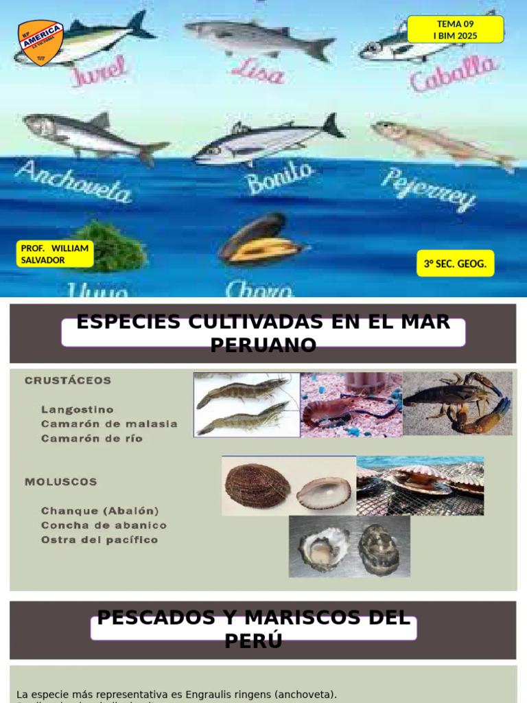 Geog 3 Sec El Mar Peruano Especies 29042025 | PDF
