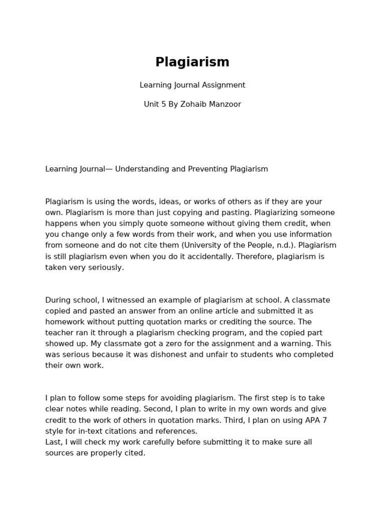 Plagiarism Assignment | PDF