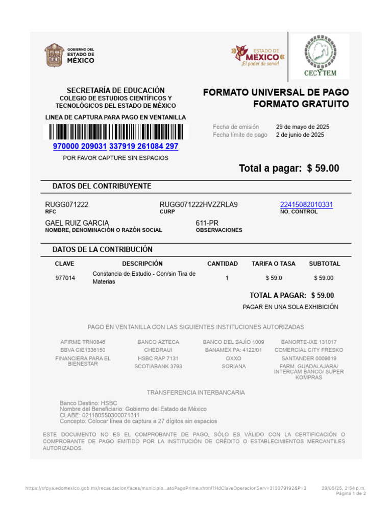 Instrucciones para Pago en Ventanilla | PDF | Finanzas personales ...