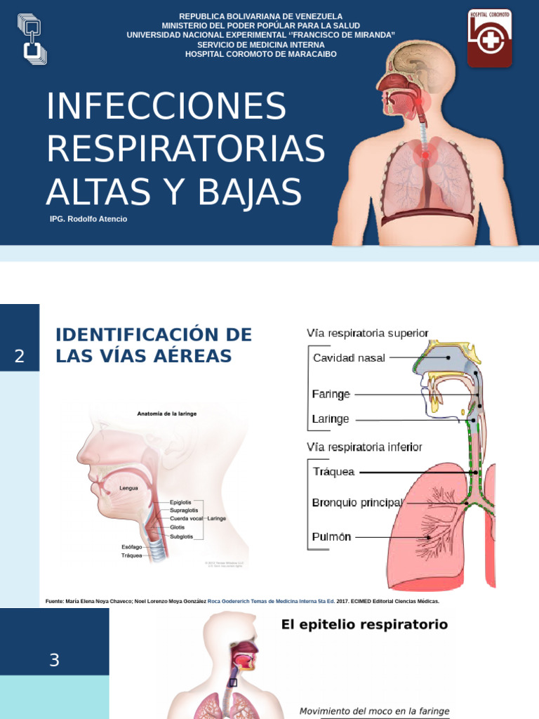 Infecciones Respiratorias: Sinusitis y Más | PDF | Resfriado comun ...