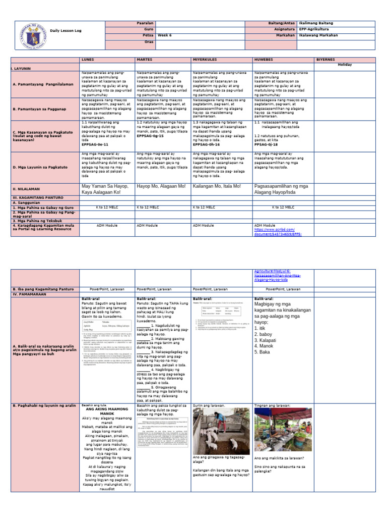 DLL Week 6 Epp | PDF