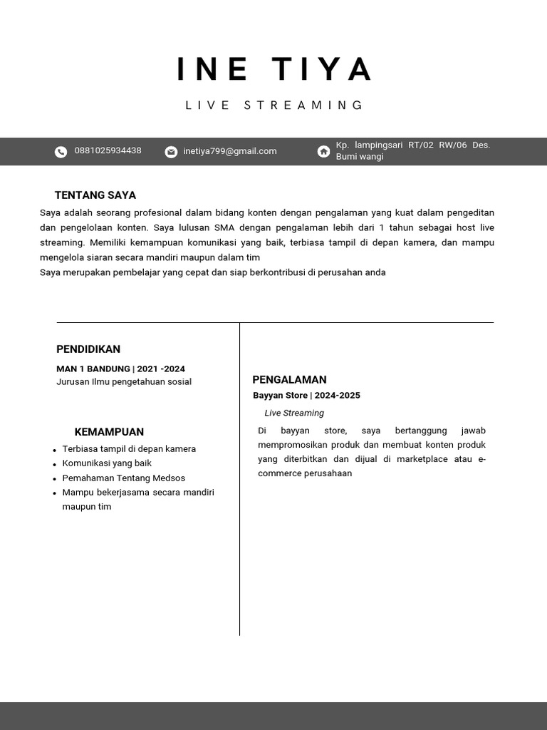 Profil Profesional Live Streaming | PDF