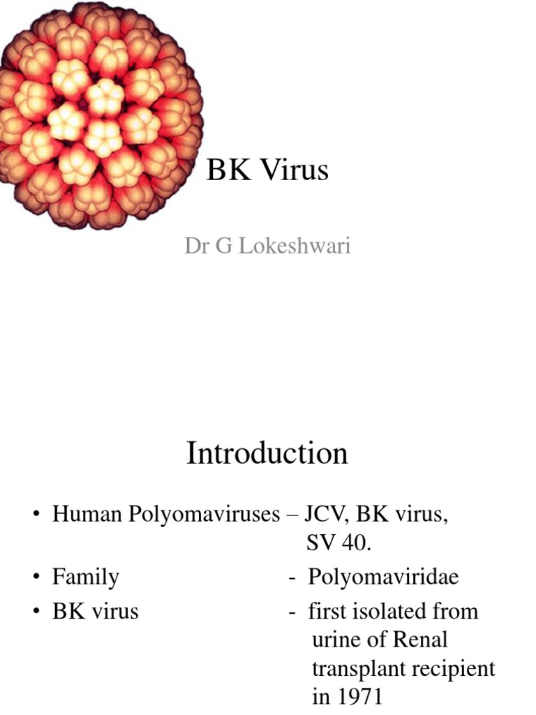 BK Virus 97 2003 Ppt Virus Virology
