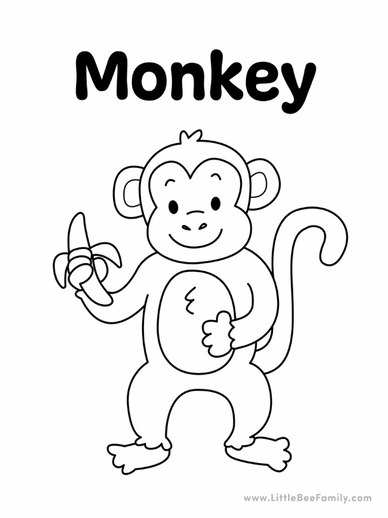 3 - Monkey | PDF