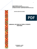 JAMINAWA, DE DONO DA TERRA À PEDINTE - Monografia