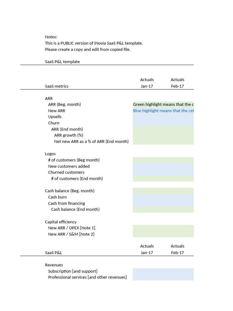 iNovia SaaS P&L Template Overview | PDF | Income Statement | Revenue