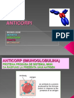 Anticorpi Imunologie