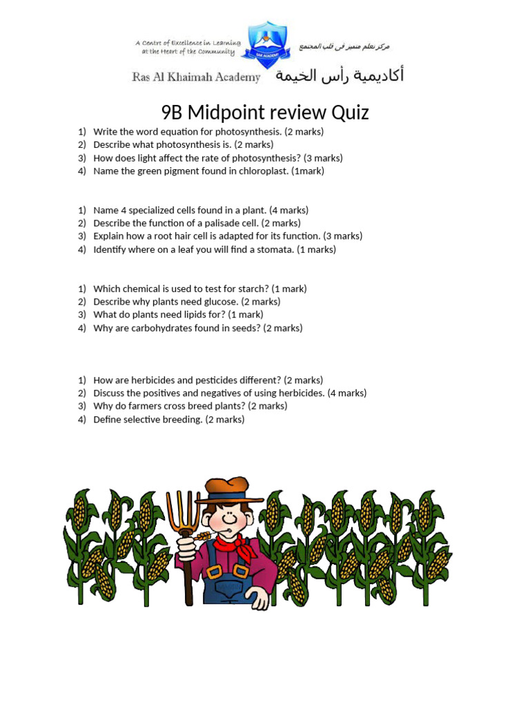 Lesson 8 9B Midpoint Review Quiz | PDF