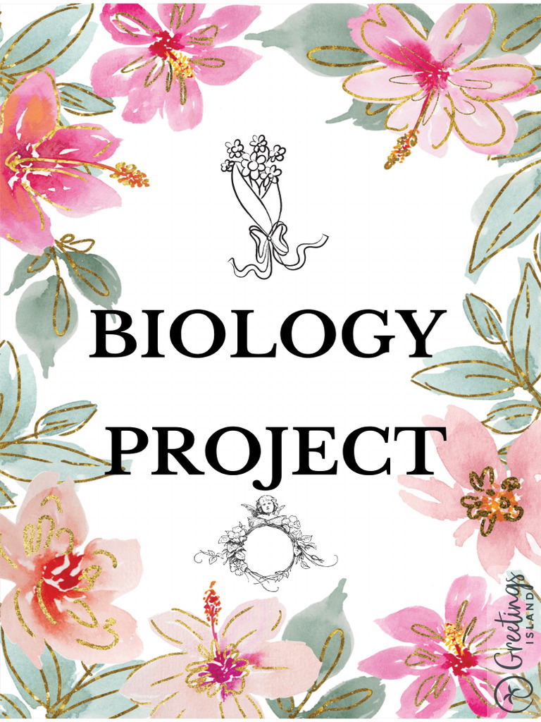 Bio | PDF