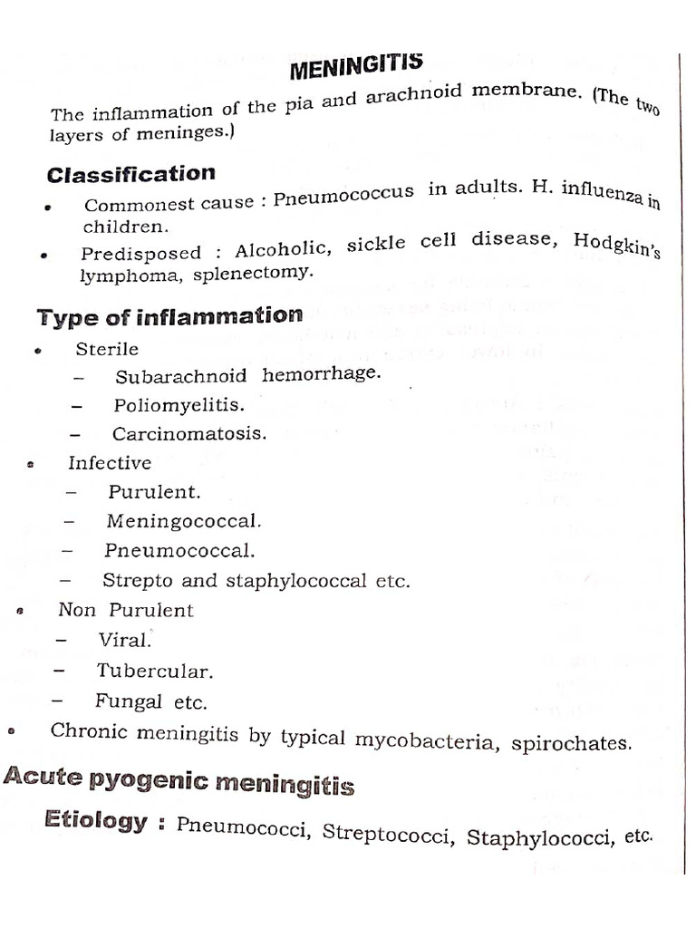 Cns System Notes With Therapeutic | PDF