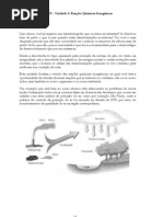 Módulo II Unidadde 1 conteúdo
