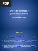 Understanding Prehn's Sign in Diagnosis | PDF | Sexual Anatomy | Male ...