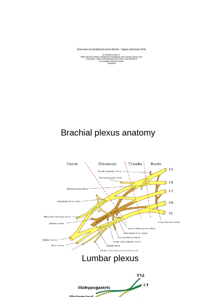 Peripheral Nerve Blocks: Overview & Techniques | PDF | Human Anatomy ...