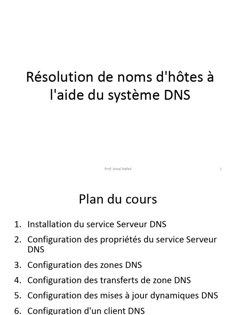 Guide complet sur la configuration DNS | PDF | Système de noms de ...