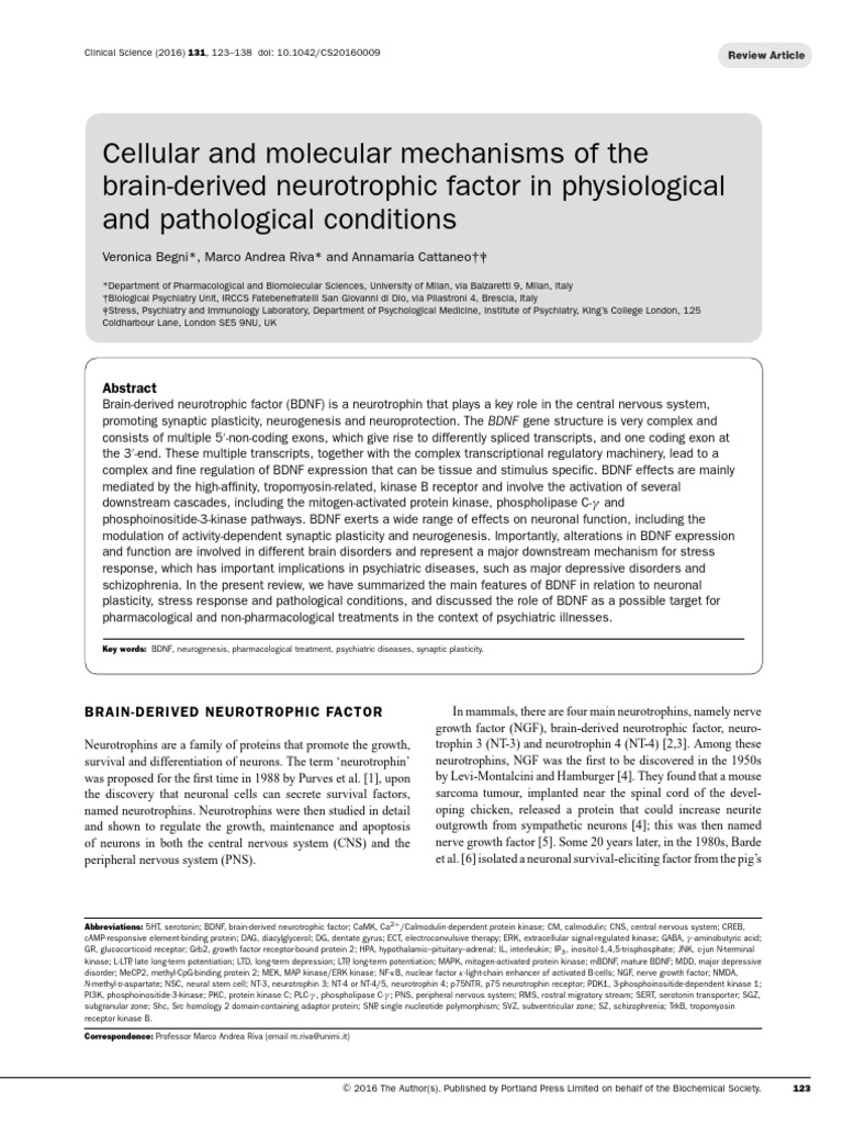 Cellular and Molecular Mechanisms of The Brain-Derived Neurotrophic ...