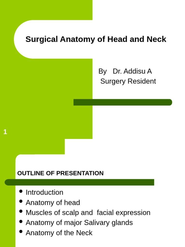 5.anatomy of Head and Neck 2 | PDF | Neck | Human Nose