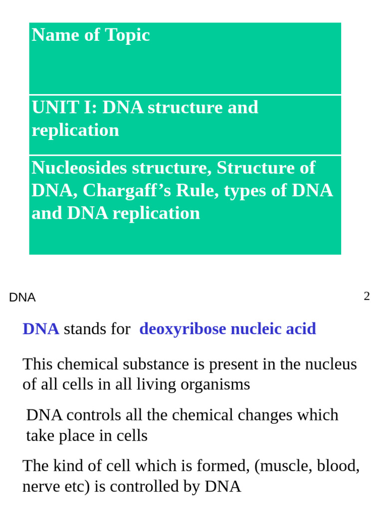DNA Structure and Replication | PDF | Dna | Dna Replication