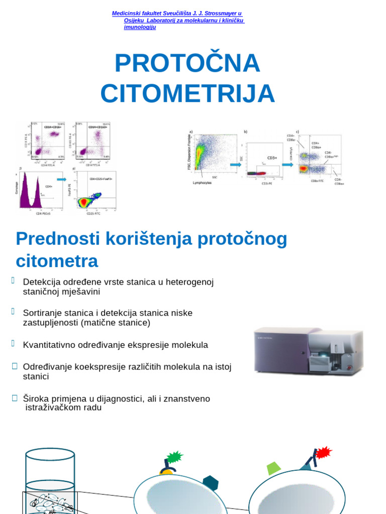 Protočna Citometrija | PDF