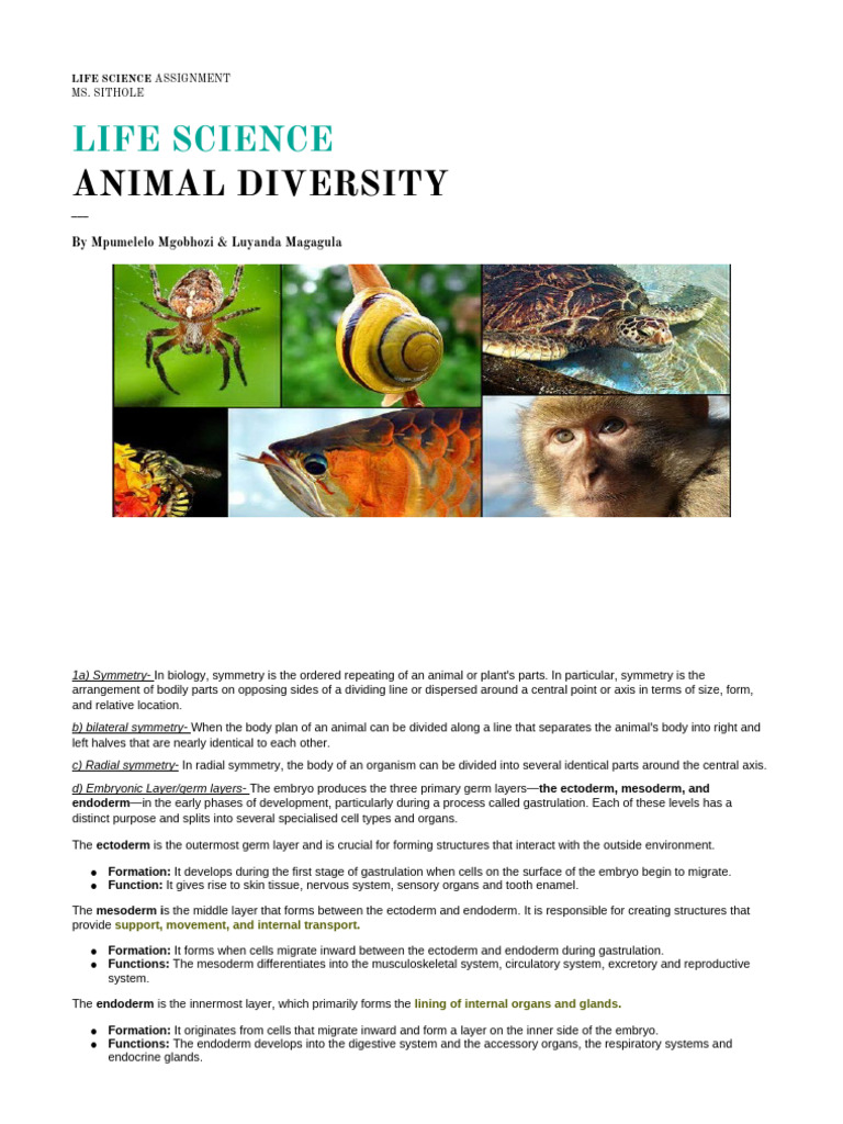 Animal Diversity Assignment | PDF | Gastrointestinal Tract | Biology