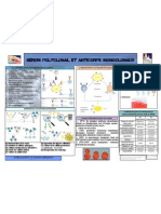 Anticorps Monoclonaux Et Polyclonaux