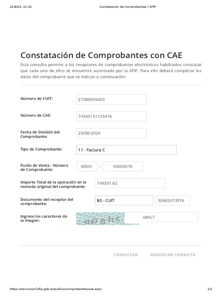 Constatación de Comprobantes CAE AFIP | PDF